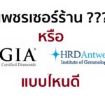 เพชรใบเซอร์ร้าน ใบเซอร์ GIA HRD เลือกแบบไหนดี